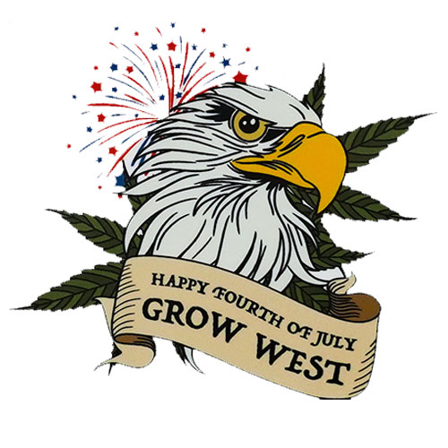 4th of July Eagle